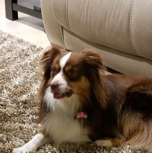 Meet your Posher, Matthew